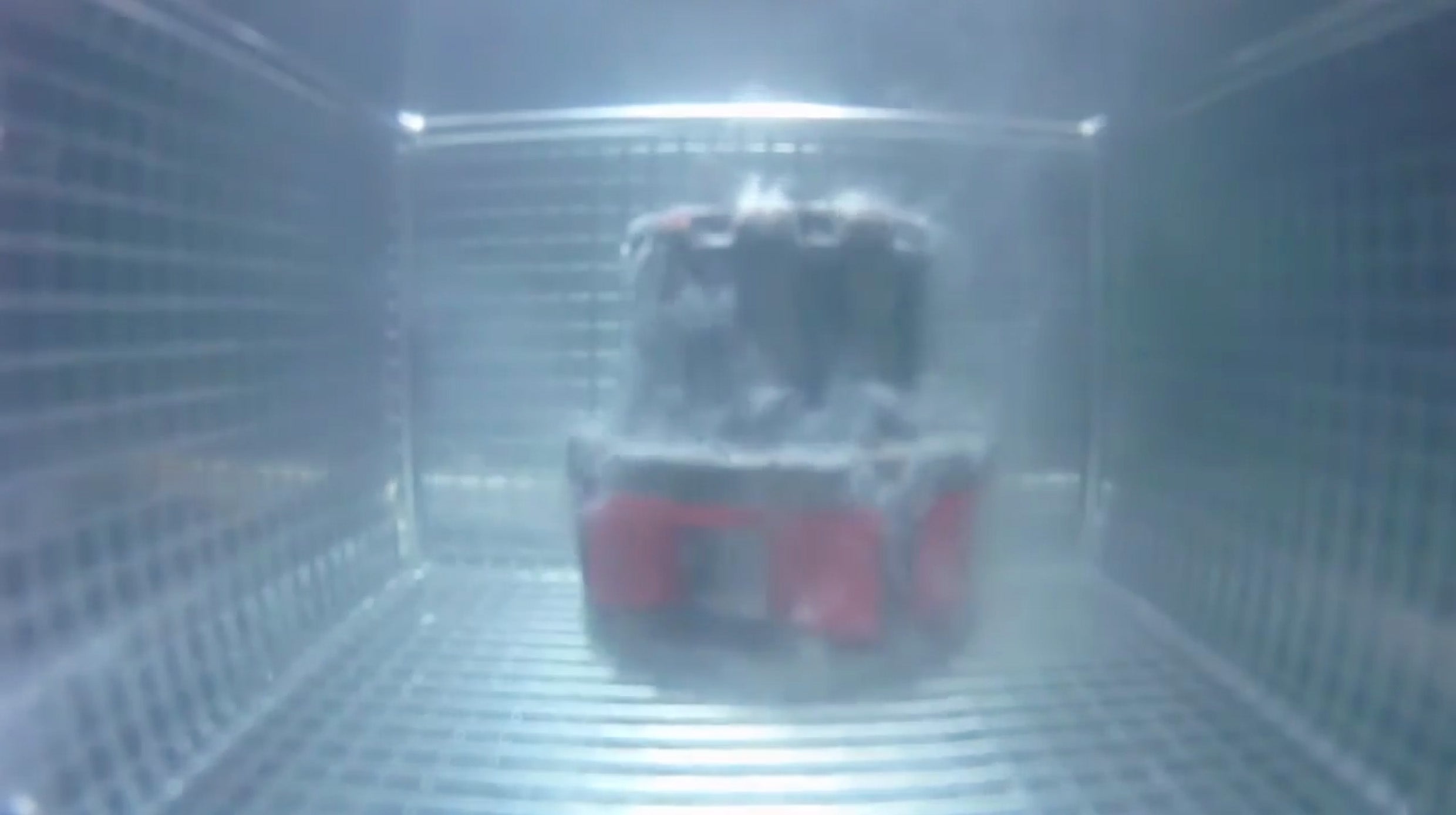 Load video: ultrasonic cleaning demo